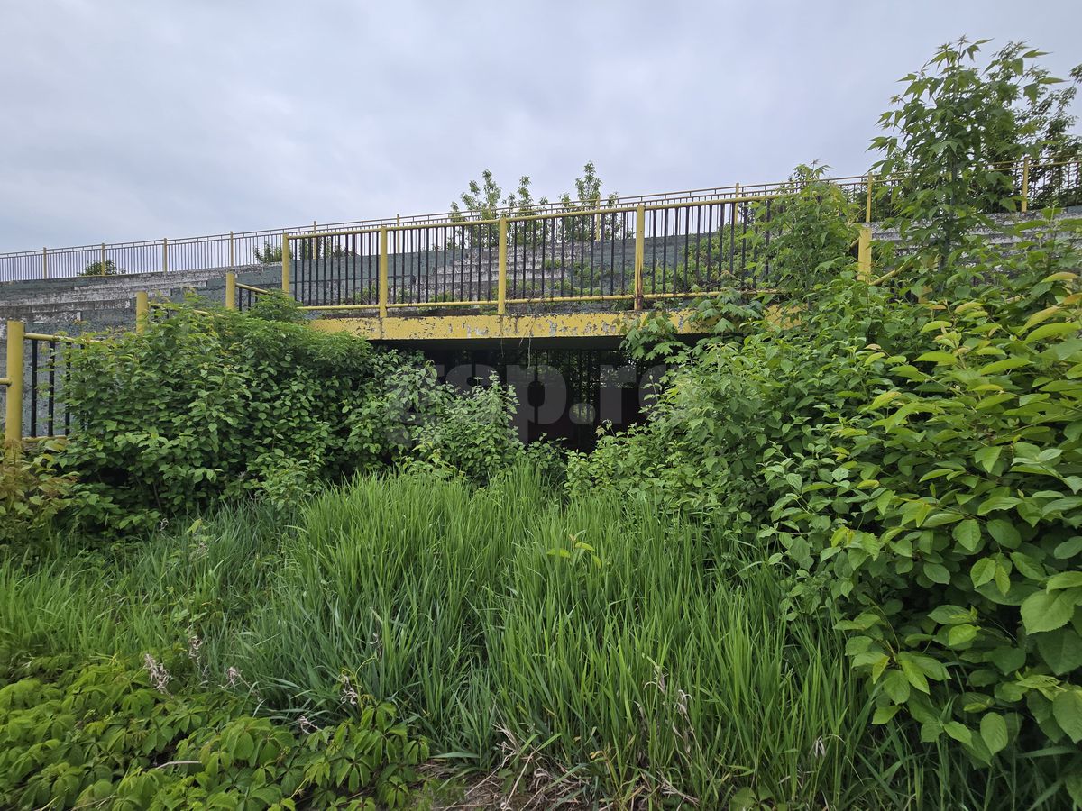 Fotbalul renaște la periferia orașului care dădea echipă în Liga 1 » Vechiul stadion e în paragină, înghițit de natură!