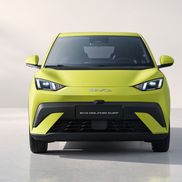 BYD Dolphin Surf