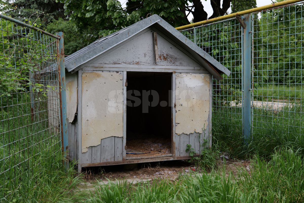 Fotbalul renaște la periferia orașului care dădea echipă în Liga 1 » Vechiul stadion e în paragină, înghițit de natură!