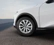 Audi Q5 Sportback, „fiara” lui Novak Djokovic