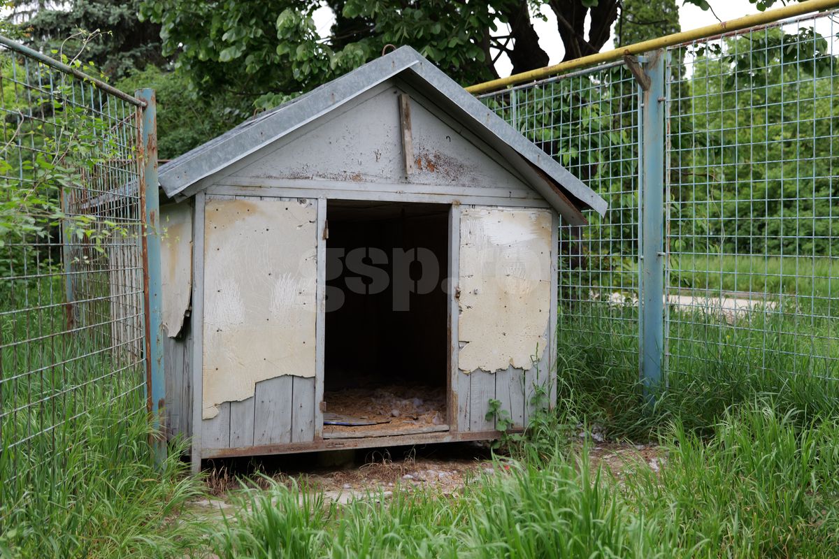 Fotbalul renaște la periferia orașului care dădea echipă în Liga 1 » Vechiul stadion e în paragină, înghițit de natură!