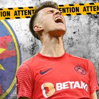 Tavi, în mare pericol