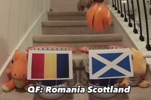 Celebrul cățel care dă pronosticuri exacte a anunțat unde se va opri România la Euro 2024 » Dacă are dreptate, „tricolorii” vor depăși toate așteptările