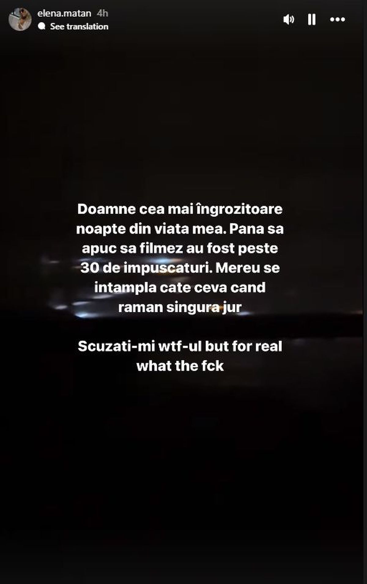 Elena Livadariu - împușcături în America. Foto: Instagram