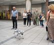 Un robot-câine în Marienplatz FOTO: Ionuț Iordache (GSP)