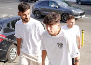 Insolvența, o mare povară la Dinamo! Anunțul lui Andrei Nicolescu: ce se întâmplă în dosarul cu Mircea Rednic