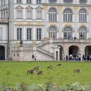 Schloss Nymphenburg FOTO: Ionuț Iordache (GSP)