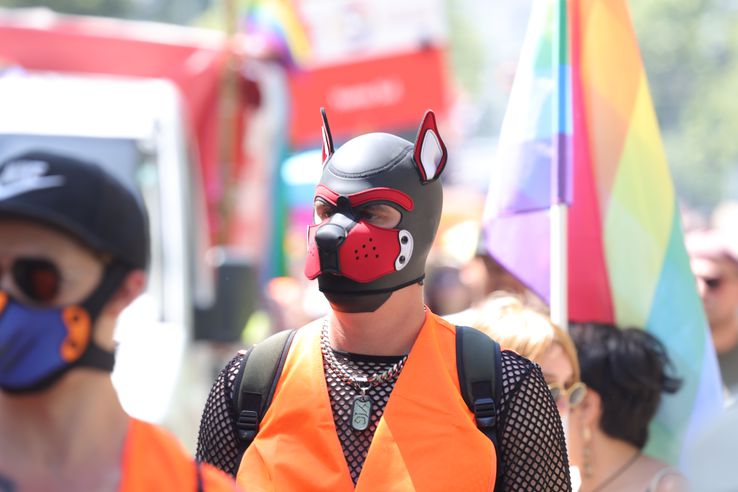 Pride Parade din Viena 2025 FOTO: Ionuţ Iordache (GSP)