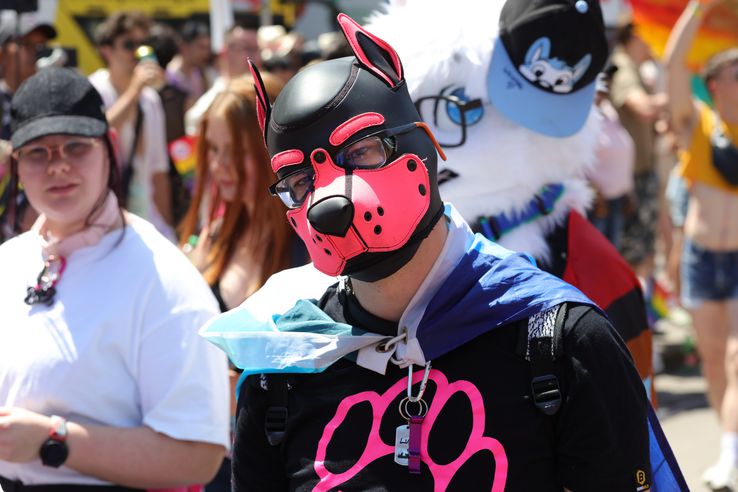 Pride Parade din Viena 2025 FOTO: Ionuţ Iordache (GSP)