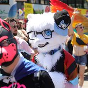 Pride Parade din Viena 2025 FOTO: Ionuţ Iordache (GSP)