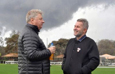 UPDATE. Iordănescu a preluat puterea la Gaz Metan! Postul lui Ioan Mărginean a fost desființat