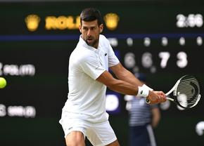 Jannik Sinner - Novak Djokovic, prima semifinală de la Wimbledon