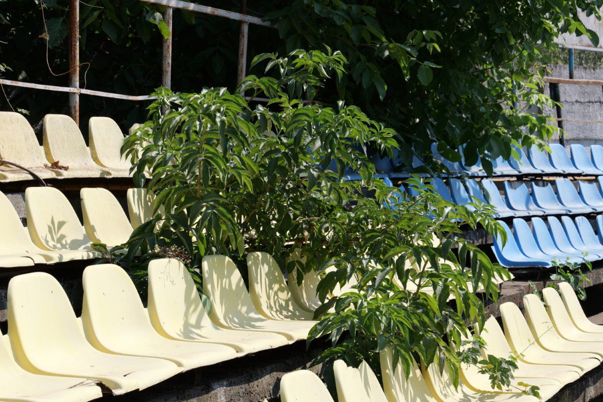 Au intrat excavatoarele pe stadionul echipei din Superligă » Imagini cu șantierul