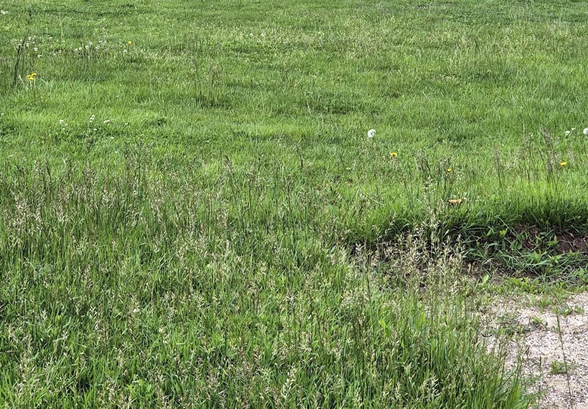 A început modernizarea stadionului „1 mai” din Slobozia