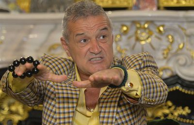 FRF l-a legitimat pe allenatore Gigi! Nu suflă o vorbă despre mascarada de la FCSB, dar contestă 4 antrenori din Liga 1