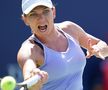 Simona Halep - Beatriz Haddad Maia, Toronto 2022