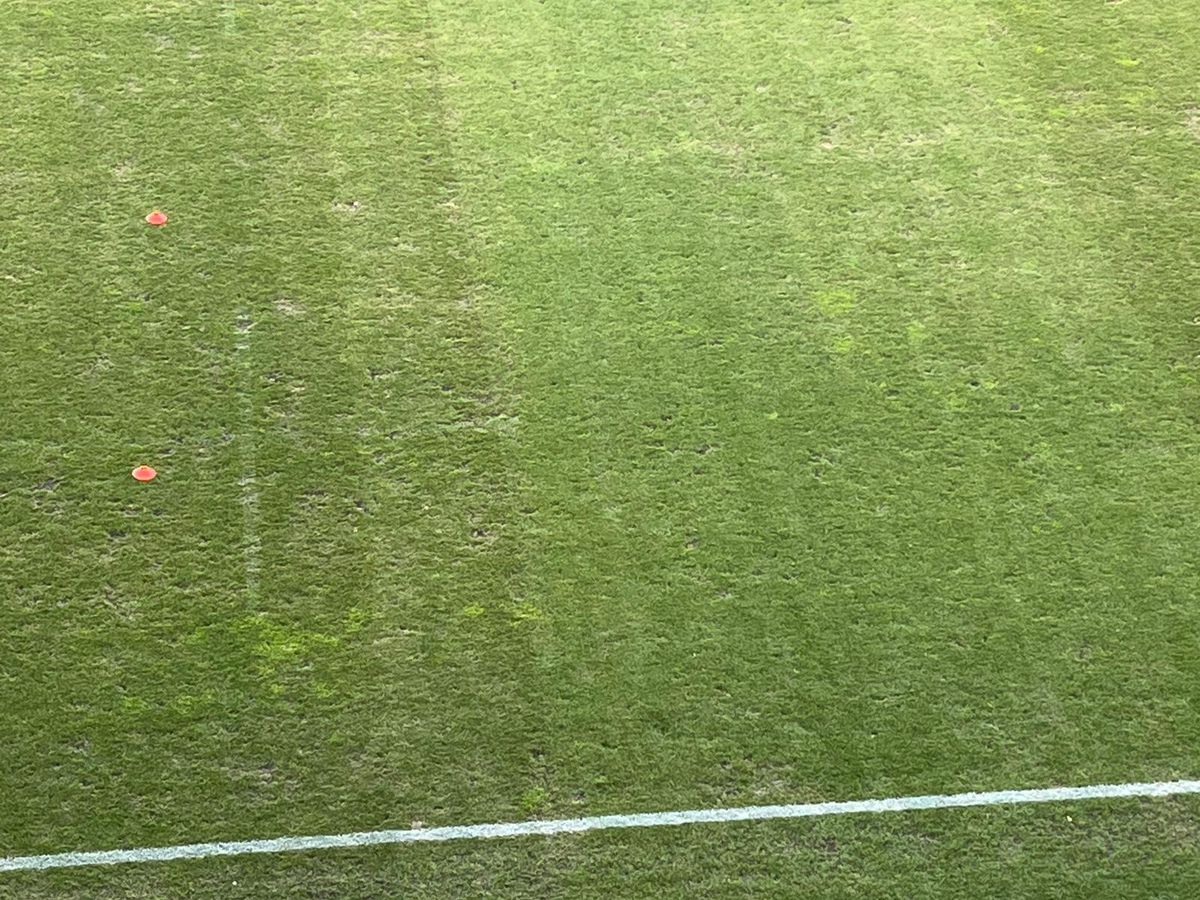 Ce i-a nemulțumit pe cei de la FC Botoșani în timpul interviurilor: „Adversarii noștri sunt cam gălăgioși!” + „Sigur că ne simțim posturile amenințate”