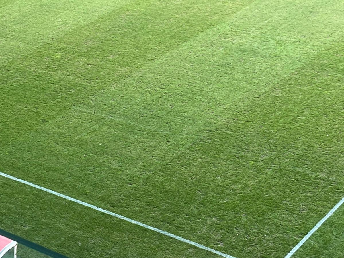 Dennis Politic, eroul din Dinamo - FC Botoșani: „Senzațională atmosfera! Știam unde am venit”