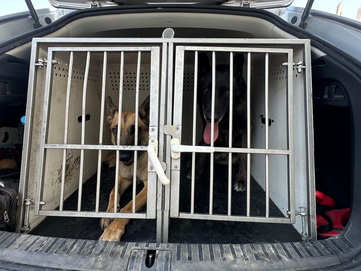 Imagini geniale din vestiarul FCSB » Ce „meniu” au campionii României înaintea meciului decisiv din Kosovo