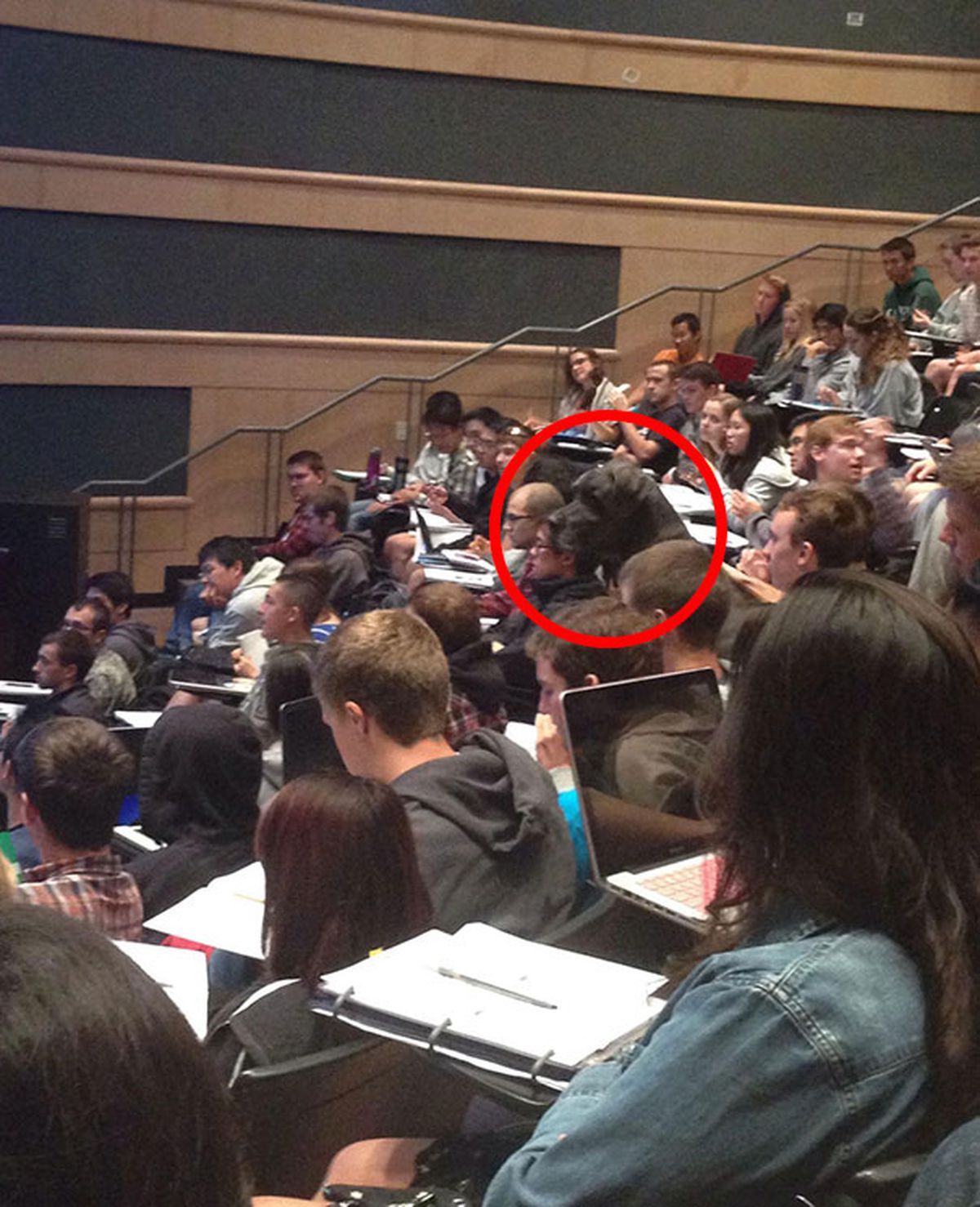 Provocarea anului: ce vezi de fapt în aceste 20 de imagini?! Nimeni nu s-a prins