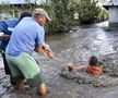 Mai multe localități din Galați, printre care și Pechea, au fost acoperite de ape în urma inundațiilor provocate de ciclonul Boris / Sursă foto: Facebook