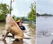 Mai multe localități din Galați, printre care și Pechea, au fost acoperite de ape în urma inundațiilor provocate de ciclonul Boris / Sursă foto: Facebook