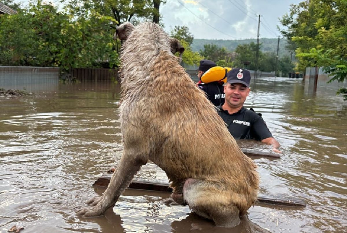 Imagini tulburătoare! Localitatea natală a lui Lucian Bute, devastată de ciclonul „Boris” » Un bărbat și o femeie au fost luați de viitură