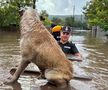 Mai multe localități din Galați, printre care și Pechea, au fost acoperite de ape în urma inundațiilor provocate de ciclonul Boris / Sursă foto: Facebook