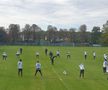 ROMÂNIA - AUSTRIA. EXCLUSIV/FOTO Alaba și starurile lui Foda s-au antrenat la Păulești, pe terenul derby-ului cu Bănești - Urleta :)