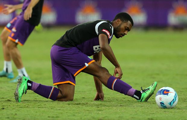 Un fost internațional englez, condamnat » Nu a plătit recompensa promisă celui care i-a găsit câinele!