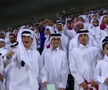 Qatar - Emiratele  Arabe Unite
