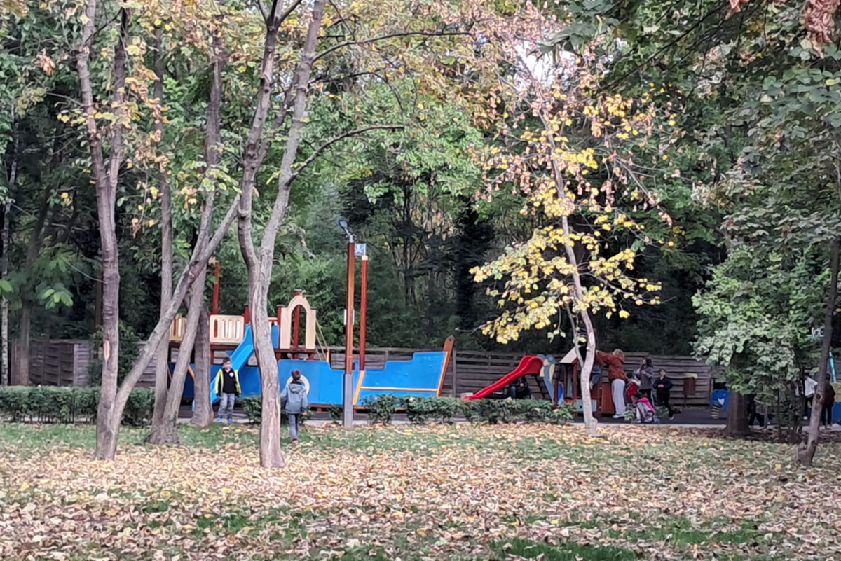 Arena uitată din inima Capitalei, construită de burghezi în perioada interbelică » Ce s-a ales de primul stadion cu gazon din România: aici s-a jucat primul meci oficial în nocturnă