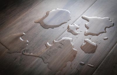 Parchetul laminat nu rezistă la umezeală!” Cât de adevărată este afirmația de pe buzele multora?