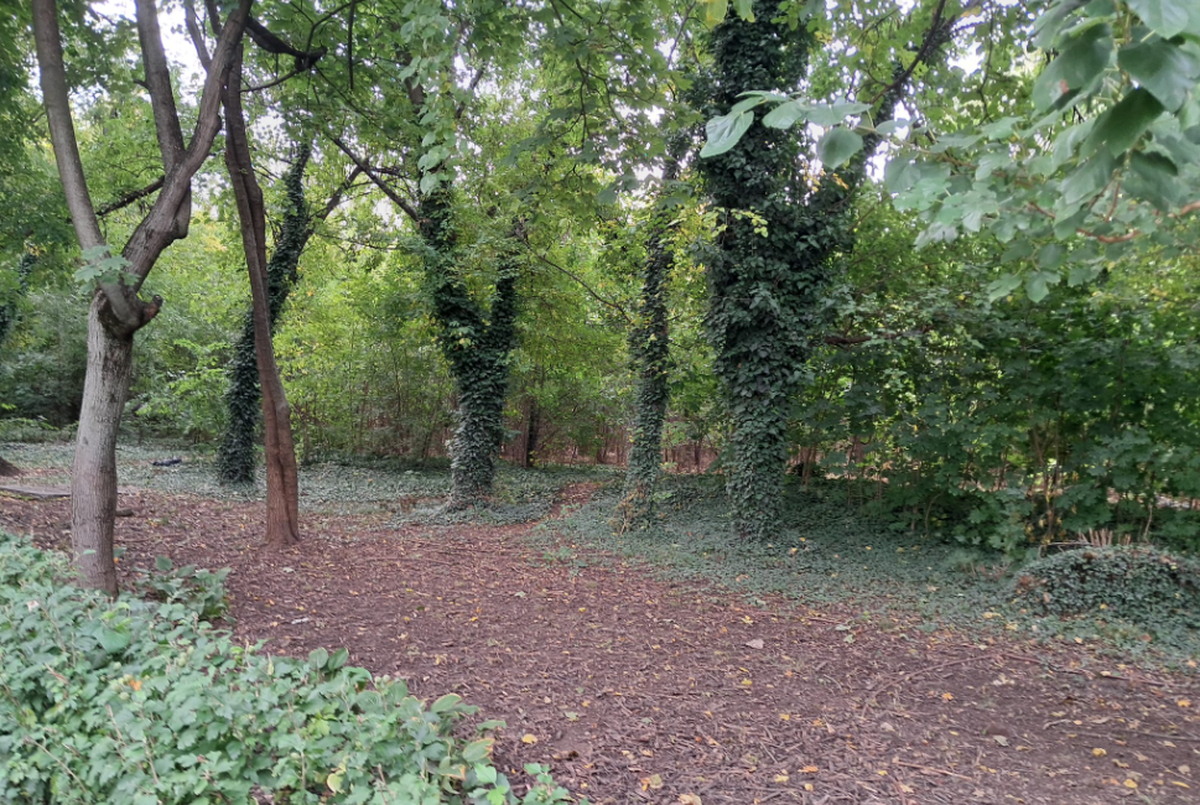 Stadionul Venus - astăzi „Parcul Operei” din Capitală