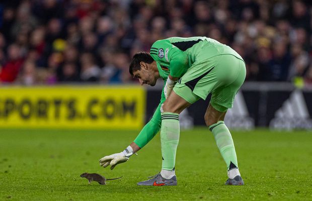 A încercat să-l prindă cu mâna! Un musafir nepoftit a oprit meciul Țara Galilor - Belgia, iar imaginile s-au viralizat