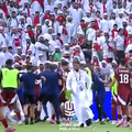 Scandal imens în timpul meciului Qatar - Emiratele Arabe Unite, meci pierdut de echipă lui Cosmin Olăroiu cu scorul de 1-2.