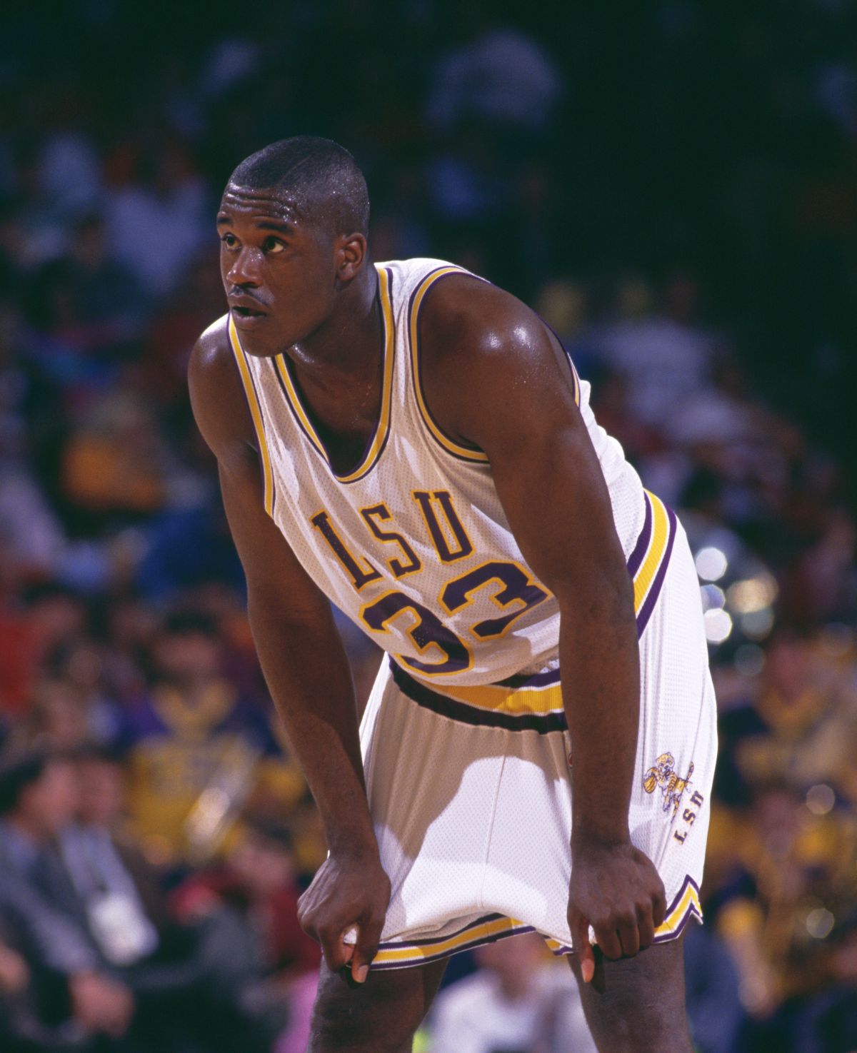 Shaquille O'Neal face dezvăluiri uluitoare! Cât cântărea în perioada Lakers, divergențele cu Kobe Bryant + Schimbarea spectaculoasă din prezent