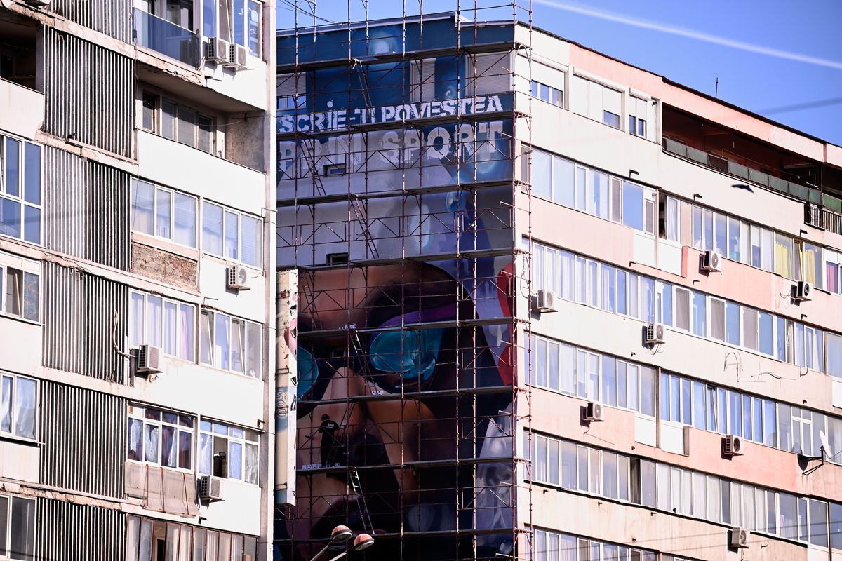 David Popovici-graffitti