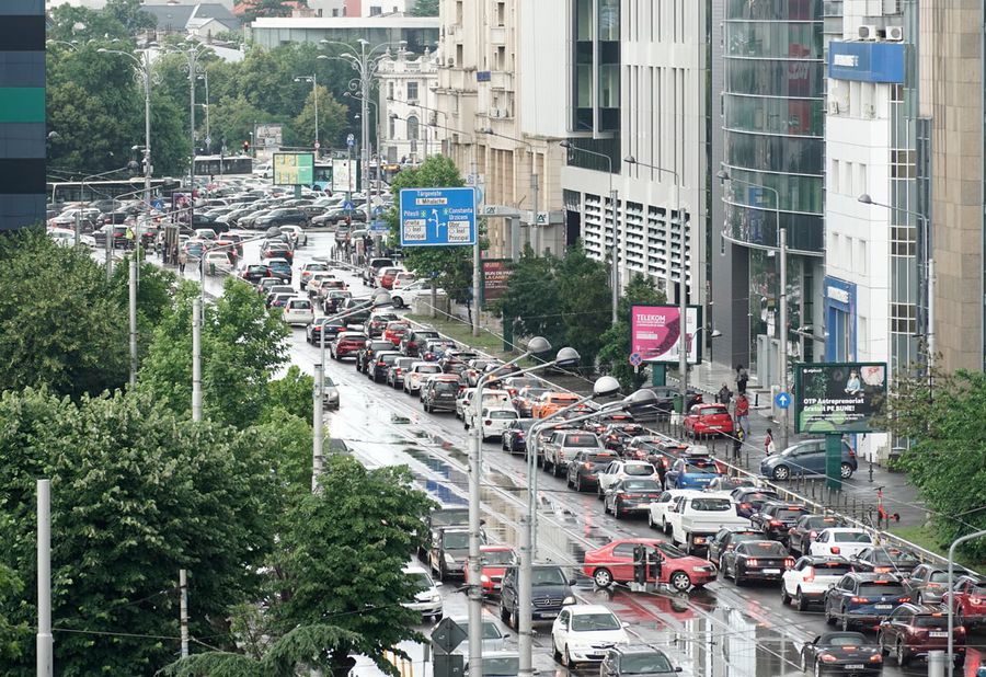 Gigi Nețoiu are 500 de vaci Angus, vrea tramvaie suspendate prin București și se compară cu Vladimir Putin: „Hai să vedem ce-a făcut fiecare”