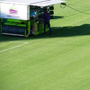 Noul gazon de pe Cluj Arena / sursă foto: CJ Cluj