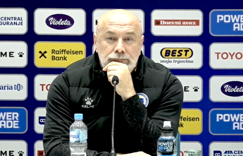 Sergej Barbarez, selecționerul Bosniei