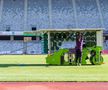 Noul gazon de pe Cluj Arena / sursă foto: CJ Cluj