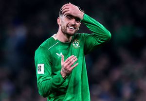 Fanii irlandezi, cuceriți de „nașul” Portugaliei: „Îl vrem ca președinte! Troy Parrott îmi voi boteza primul copil”