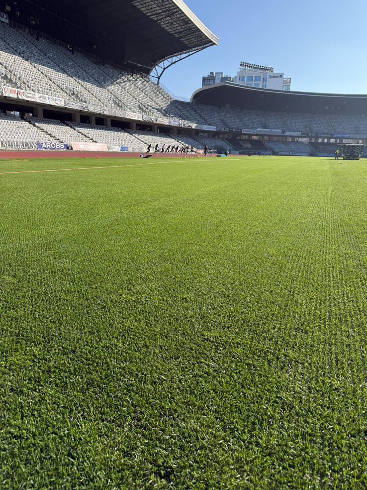 Noul gazon de pe Cluj Arena / sursă foto: CJ Cluj