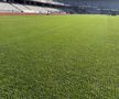 Noul gazon de pe Cluj Arena / sursă foto: CJ Cluj