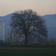 Imagini din Zenica FOTO: Ionuţ Iordache (GSP)