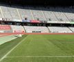 Noul gazon de pe Cluj Arena / sursă foto: CJ Cluj