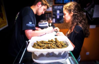 Sportul unde marijuana devine legală » Liga Profesionistă a făcut anunțul