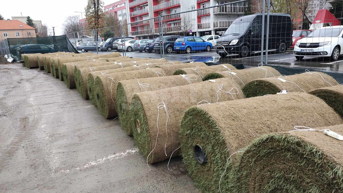„Verde de Crăciun” » Se montează iarba pe șantierul din Superliga. Costuri totale: 2 milioane de euro