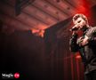 Magic Christmas Show